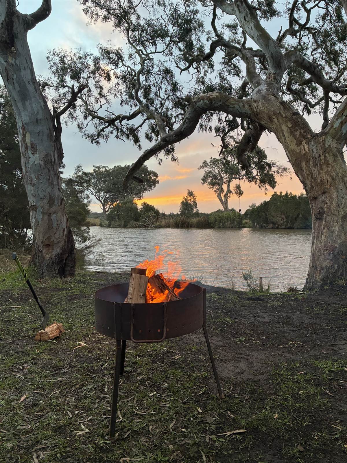 SpareGrills firepit burning beside a river at sunset, framed by red gums